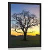 Plakat očarljivo drevo - 60x90 silver