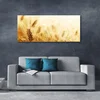 tulup.si Slika na akrilnem steklu Pšenica rastlin narava 125x50 cm 2 obešalnika