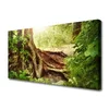 tulup.si Slika na platnu Tree trunk forest narava 100x50 cm