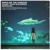 Bring Me The Horizon - Count Your Blessings | Repented (CD)