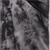 Loess - Totems (Limited Edition) (LP)