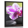Plakat orhideja in črni kamni - 20x30 silver