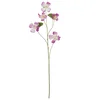 Dekozweig Bauhinia I Pink/braun