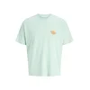JACK & JONES Majica JORSUN opal / gorčica / svetlo zelena / roza