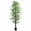 Umjetna biljka ficus 2016 Listovi 300 cm zeleni