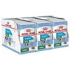 Vrečka Royal Canin Mini Puppy 36 x 85 g