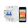 shumee Krmiljena varovalka 2x 16A ZigBee tuya En meritev