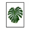 shumee SLIKA, PLAKAT V OKVIRJU 43x33 cm List 1 P569