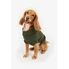 Barbour  Pulover za psa  Saltburn Dog Jumper