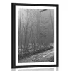 Plakat s paspartujem črnobela steza v gozd - 30x45 silver