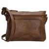 Beagles Murcia 21207 Brown