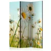 artgeist Paravan Daisies, 3-Delni, Dvostranski