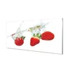 tulup.si Slika na akrilnem steklu Water strawberry belo ozadje 120x60 cm 2 obešalnika