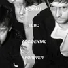 Normal Echo - Accidental Forever (LP)