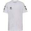 Go 2.0 Chevron