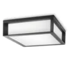 PHILIPS Zidna lampa Skies 2x42W 230V crna