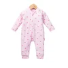 Zeka roze 547603