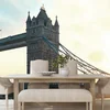 Samolepilna fototapeta Tower Bridge v Londonu - 539x363