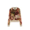 Desigual Pulover M. C. Lacroix rjava / mešane barve