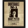 Harry Potter: 3D slika - Sirius Black