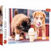 Trefl Puzzle Ice creame time 500
