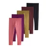 Next Pajkice oliva/temno liila/pitaja/bordo/črna