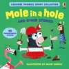 Phonics Story Collection - Mole in a Hole and Other Phonics Stories