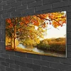 tulup.si Slika na steklu Tree lake nature 120x60 cm 4 obešalnika