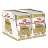 ROYAL CANIN ADULT ČIVAVA vrečka s pašteto 24 x 85 g