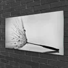 tulup.si Slika na akrilnem steklu Dandelion semena 120x60 cm 4 obešalnika