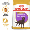 ROYAL CANIN BREED Sterilised Labrador Retriever Adult - Varčno pakiranje: 2 x 12 kg