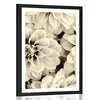 Plakat s paspartujem cvetovi dalije v sepia varianti - 20x30 no frame