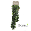 Tolstica viseča plezalka 80 cm - zelena - 76 do 100 cm