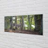 tulup.si Steklena slika Jelen gozd 140x70 cm 2 obešalnika