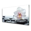 tulup.si Slika na steklu Orchid flower art 125x50 cm 2 obešalnika