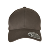 Flexfit 110 Curved Visor Snapback Dark Grey