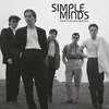 Simple Minds - Back In The Motherland (2 LP)