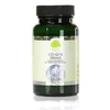 Koencim Q10, 100 mg, 60 kapsul