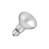 Industrijska sijalica E14/25W/230V 2700K - Ecolite