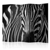 artgeist Paravan Zebra I, 5-Delni, Dvostranski