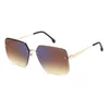 Carrera Naočare za sunce CA 3044/S RHL/A8