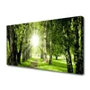 tulup.si Slika na platnu Sun forest narava pot 125x50 cm