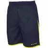 Stanno Kratke hlače Altius Shorts
