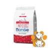 Monge Mini