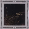 Sarah Davachi - Pale Bloom (Limited Edition) (LP)