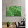 Wallity Slika 221JRS1343, 46x72 cm