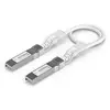 Ubiquiti UACC-Uplink-SFP28-0.3M InfiniBand in optični kabel 0,3 m Bela