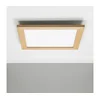 Eglo - LED prigušiva nadgradni panel SALOBRENA 2 LED/25W/230V braon
