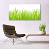 tulup.si Slika na steklu Grass nature rastlin 140x70 cm 4 obešalnika