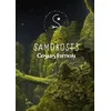Samorost 3 Cosmic Edition Steam Key GLOBAL